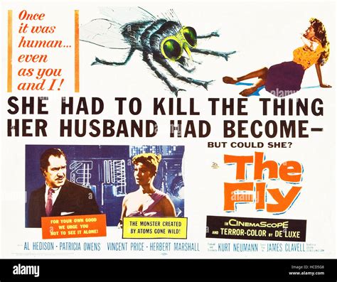 The Fly Vincent Price Patricia Owens 1958 ©20th Century Fox Film