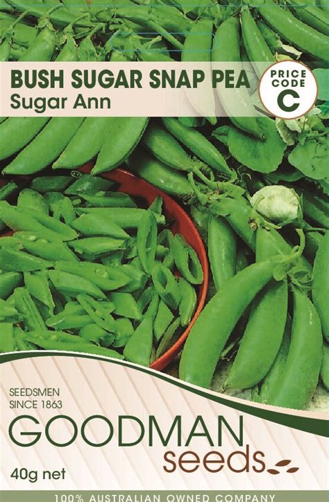 Peas Sugar Ann Snap Bush Pea Goodman Seeds Flower And Vegetable