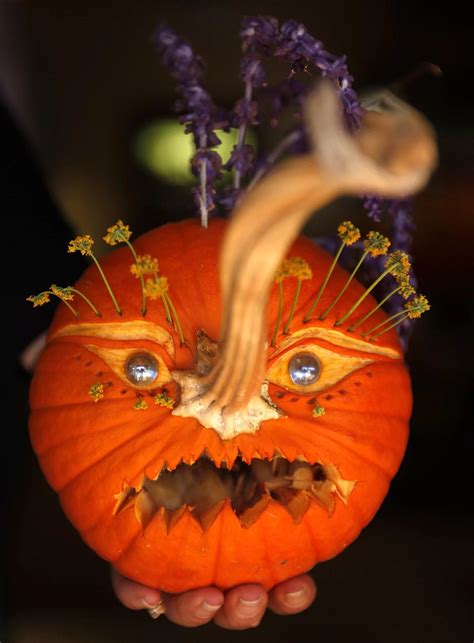 Halloween Pumpkin Carving Ideas 2022 Halloween Pumpkin