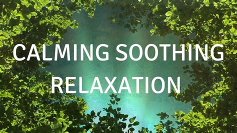 Calming Soothing Relaxation Voice Only A Guided Meditation For Deep