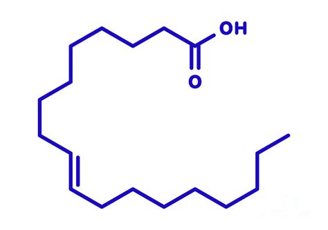 Elaidic Acid Molecule Photograph By Molekuulscience Photo Library Pixels