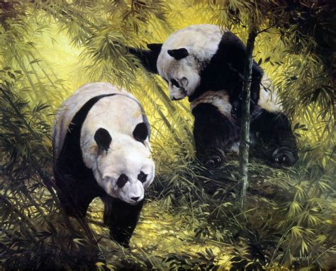 Animal Panda Art