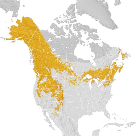 Northern Goshawk Range Map Pre Breeding Migration Ebird Status And