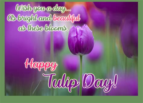 Bright And Beautiful Tulips Free Tulip Day Ecards Greeting Cards