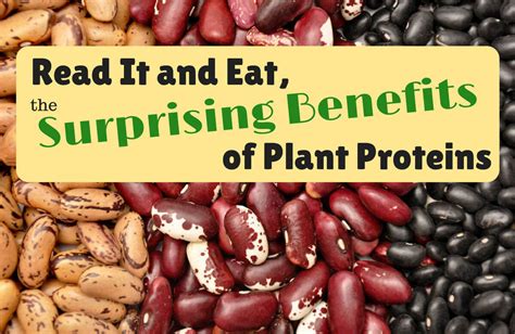 10 Plant Proteins That Can Boost Your Health Sparkpeople