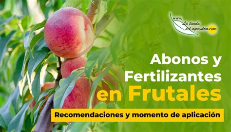 Abonos Y Fertilizantes Para árboles Frutales Recomendaciones Y Momento De Aplicación Blog La