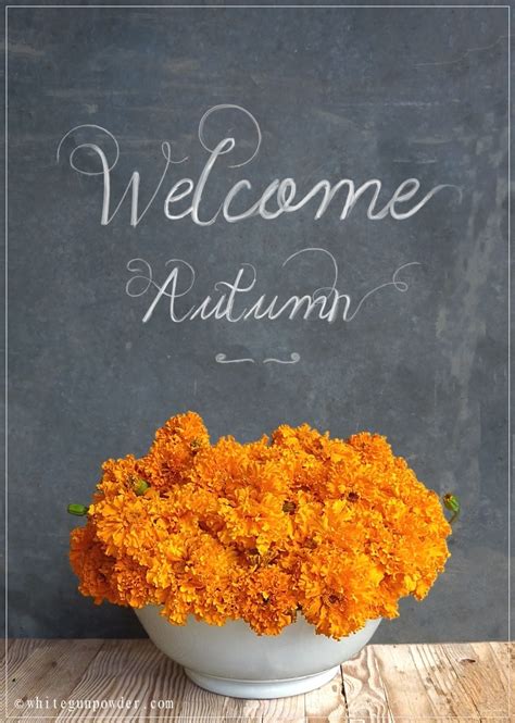 Autumn Welcome To Church Quotes Quotesgram