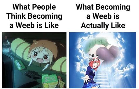 Become A Weeb They Said Id Still Be Normal They Said R