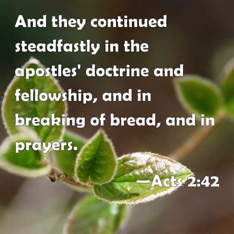 Acts 242 And They Continued Steadfastly In The Apostles Doctrine And