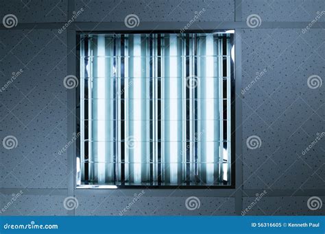 Fluorescent Lights In Office Ceiling Stock Photo Image 56316605