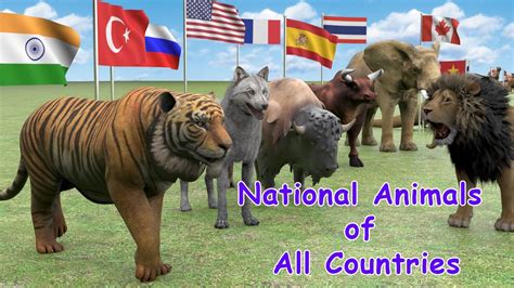 National Animals Of Countries Flags And Countries Name With National