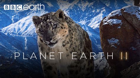 Is Planet Earth Ii On Netflix In Canada Where To Watch The