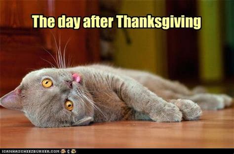 The Day After Thanksgiving Cheezburger Funny Memes Funny Pictures