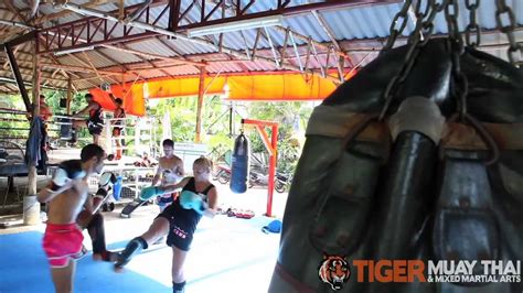 Female Fighters Of Tiger Muay Thai And Mma At The Queens