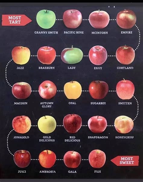 Apples Apple Chart Spice Combinations Eat Better Types Of Potatoes