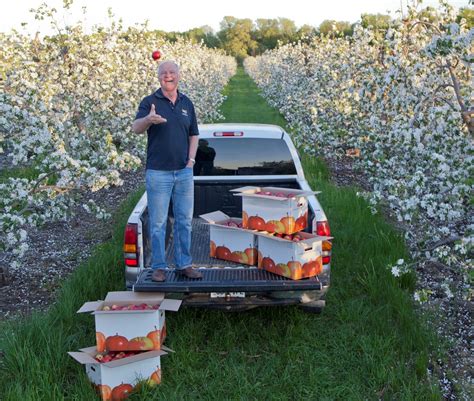 Golden delicious apple trees have the strongest sensitivity (+4.2d/°c) to climate change in the region, whilst granny smith apple trees have the lowest (+2.4d/°c). Ontario Apple Growers : Innovations protect fruit crops ...