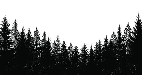 Pine Trees Forest Silhouette