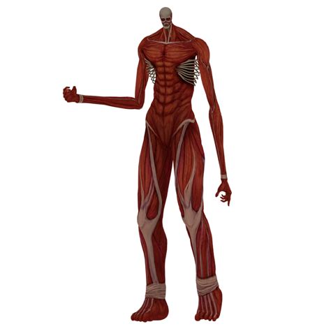 Colossal Titan Png Png No Background Download