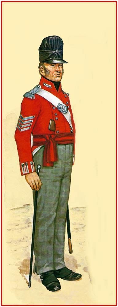 British 33rd Regiment Of Foot Sergeant Major1815 Britische Armee