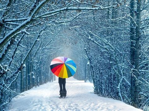 Winter Colorful Wallpapers 4k Hd Winter Colorful Backgrounds On