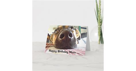 Happy Birthday Mom The One I Look Up To Cute Dog Card