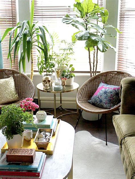 Rooms Made Better By Adorable Houseplants