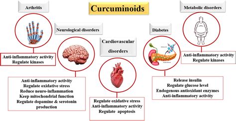 Frontiers Impacts Of Turmeric And Its Principal Bioactive Curcumin On
