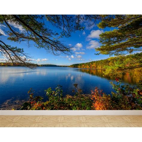 Wall Mural Lake In Autumn Peel And Stick Repositionable Fabric