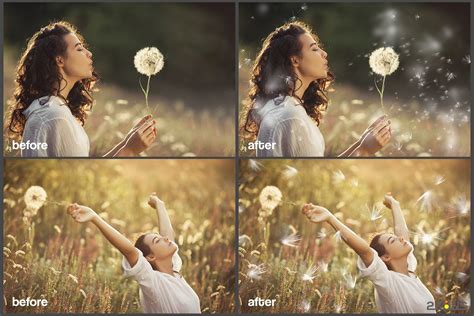 50 Dandelion Flowers Photo Overlays Photoshop Overlay Invent Actions