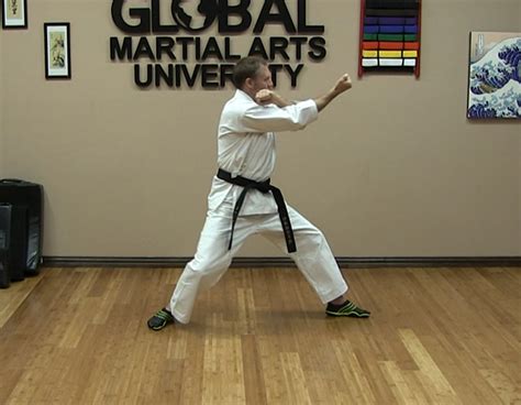 The Complete Beginners Guide To Shotokan Karate Global Martial Arts