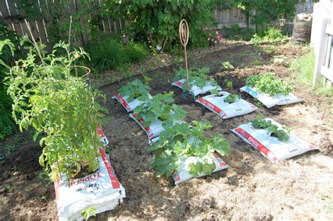 Check spelling or type a new query. The Herban Farmer: Gardening in Heavy Clay: A Great ...