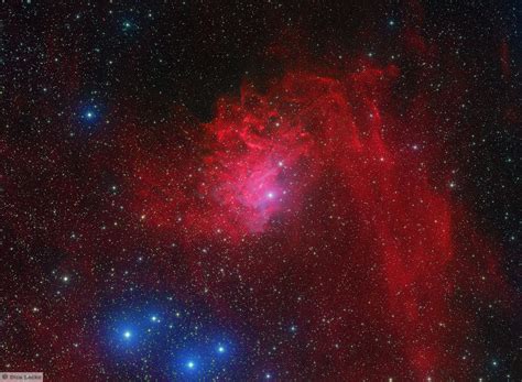 Flaming Star Nebula Pictures