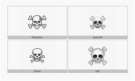 Skull And Crossbones On Various Operating Systems End Of Ayah Symbol