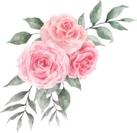 Rosa Ros Blombukett Arrangemang Akvarell 9369352 PNG