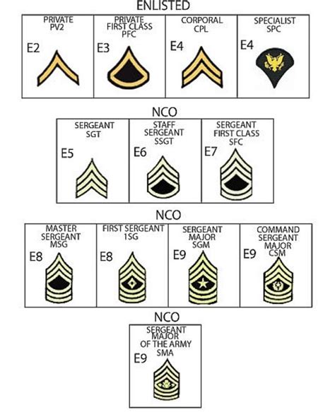Army Army Enlisted Ranks
