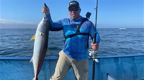 Cedros Island Yellowtail Fishing Epic 29 Fish In 15 Hours July 14