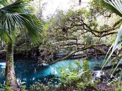 10 Natural Wonders To Add To Your Florida Bucket List Travel Channel