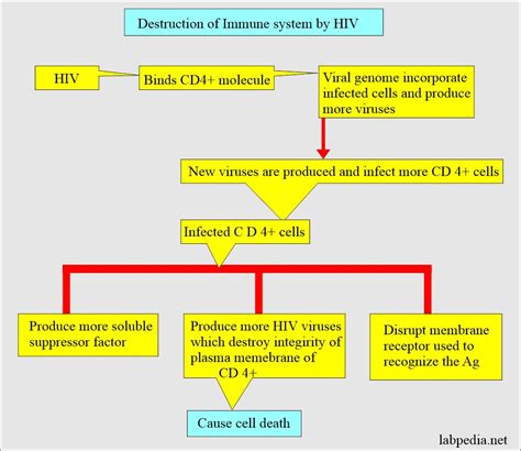 Human Immunodeficiency Virus Hiv Aids Acquired Immunodeficiency Syndrome