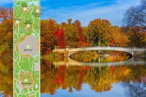 Map Find The Colorful Fall Foliage Of Central Parks 20000 Trees 6sqft