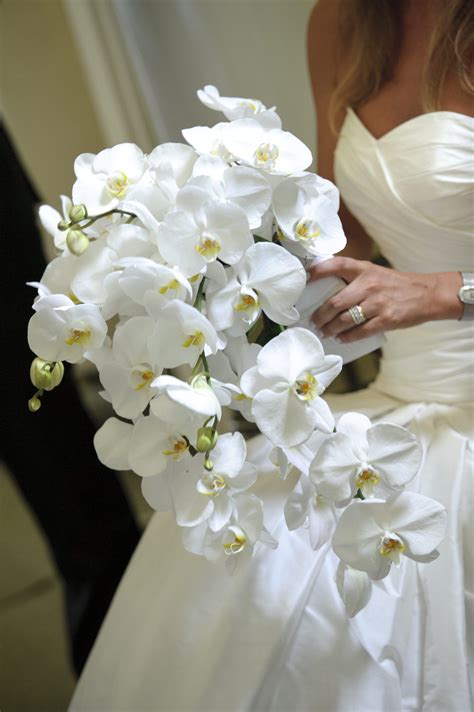 A Modern Art Gallery Wedding In Toronto Weddingbells White Orchid
