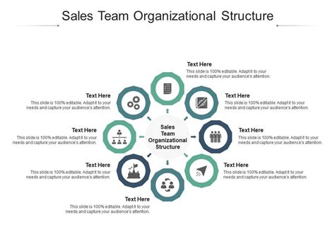 Sales Team Organizational Structure Ppt Powerpoint Presentation Ideas