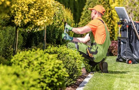 A Reputable Landscaping Contractor In Antioch Ca 94509