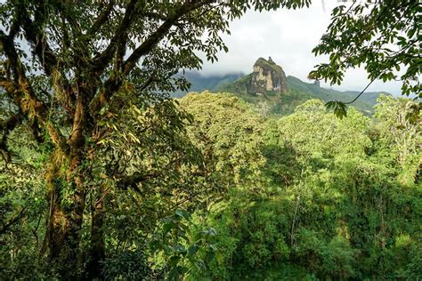 Wonders Of Ethiopia Wondermondo