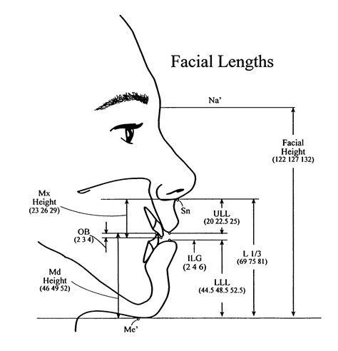 Facial Measurements Myofunctional Therapy Orthodontics Orofacial Myology