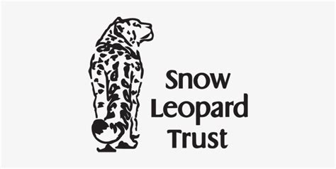 Download Snow Leopard Trust Transparent Png Download Seekpng