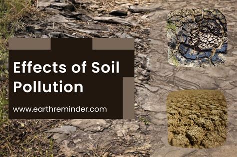 Soil Pollution Causes Effects And Prevention Earth Reminder
