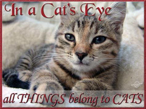 In other words, they are very fond of someone or something. Cat Eye Quotes. QuotesGram