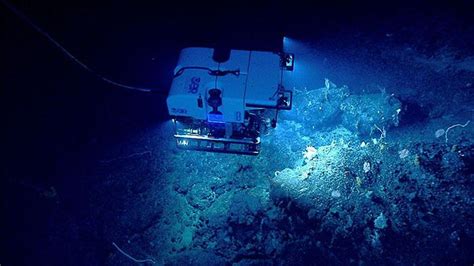 Watch A Submarine Captured Live Stream Of The Worlds Unexplored Oceans
