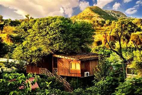 Top 10 Tree Houses Resorts Experience In India Best Resorts
