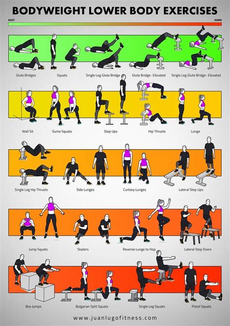 Printable Bodyweight Lower Body Exercises Training Poster Etsy In